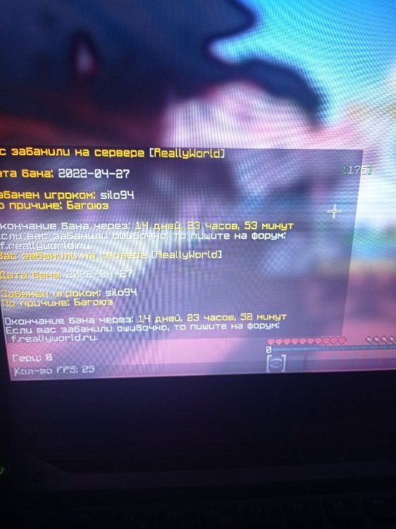 16510902761261160054016360699897.jpg