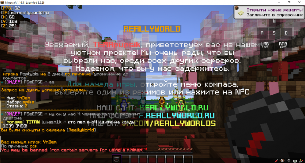 206512449_.thumb.png.b6b521ec93cc03343c886ac60ede69b7.png