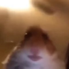 BAXEP11