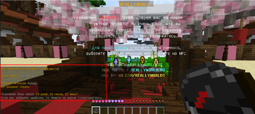 Screenshot_149.thumb.png.8b4799ca40bb4fa14029395315b51634.png