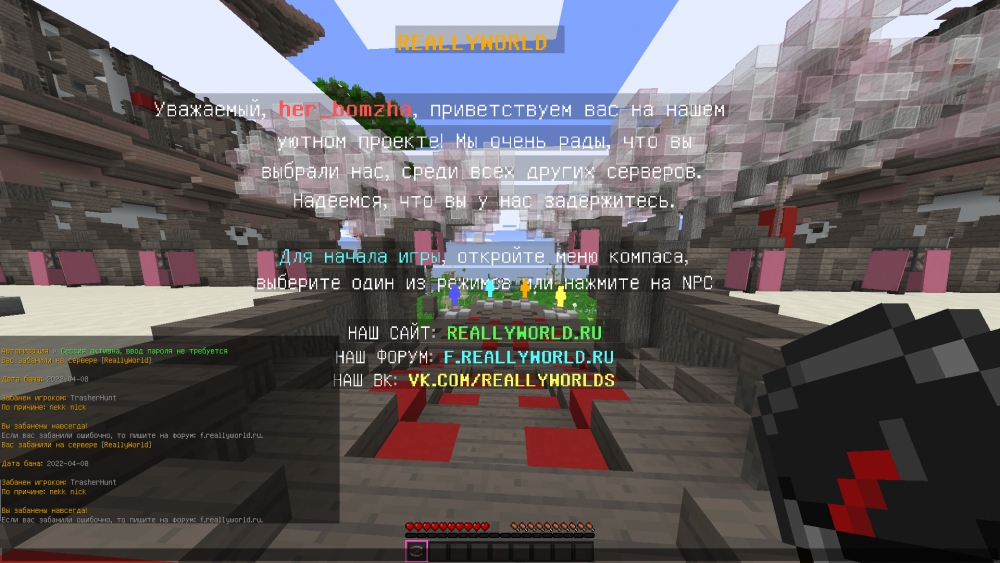 image.thumb.png.429183cf5a2f8ccf37c79e792342cbf3.png