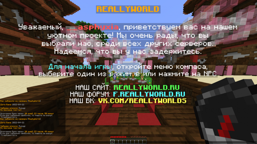 image.thumb.png.c0a60f9c9ae733af5b837357f9ac58c2.png