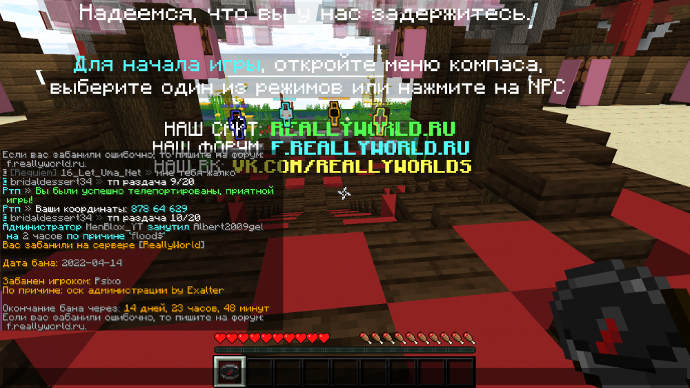 image.thumb.png.c76c270e88b1ff618c81c9a97aeedac0.png