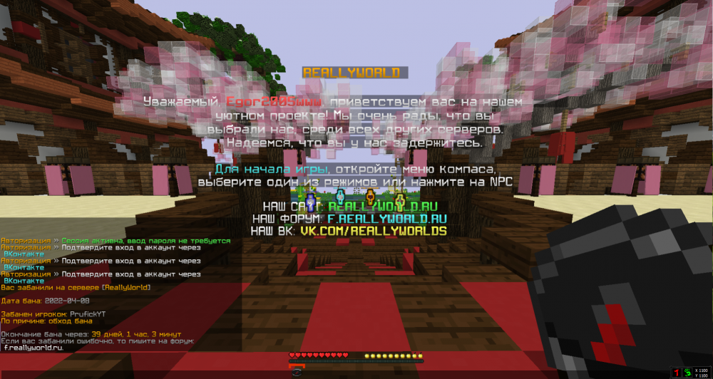 image.thumb.png.ff3df46de14d6f63e4a4e57861c743b3.png