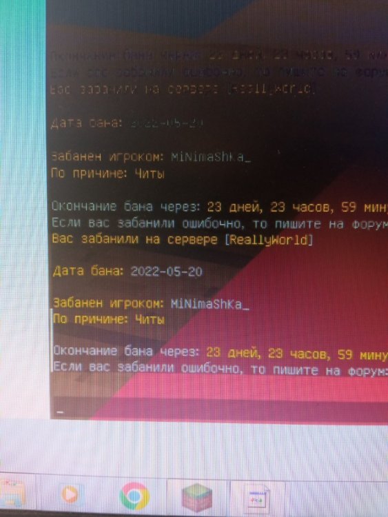 16530536955818769068117701557891.jpg