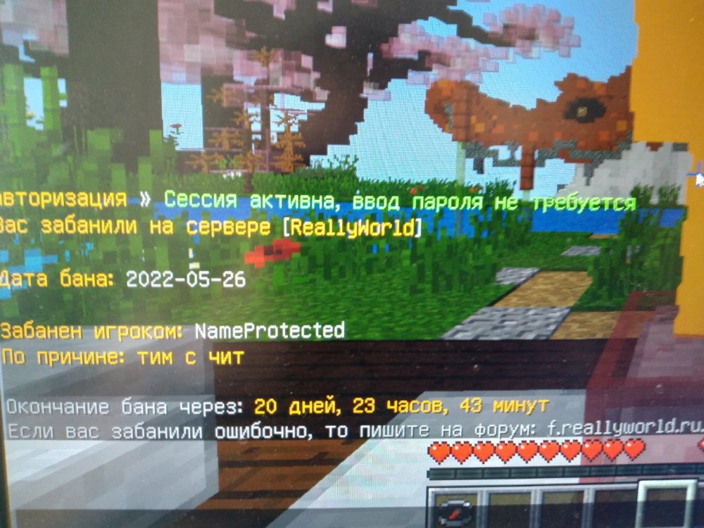 16535566374017965402714614533359.jpg