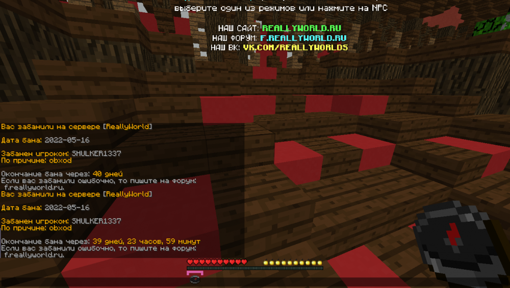 Base Profile Screenshot 2022.05.16 - 16.57.58.79.png