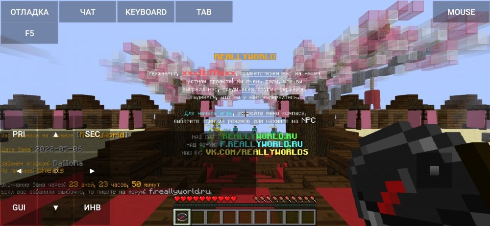 Screenshot_2022-05-06-15-13-04-958_net_kdt.pojavlaunch.thumb.jpg.3b029f1a572f3a68329249ad5647ec9e.jpg