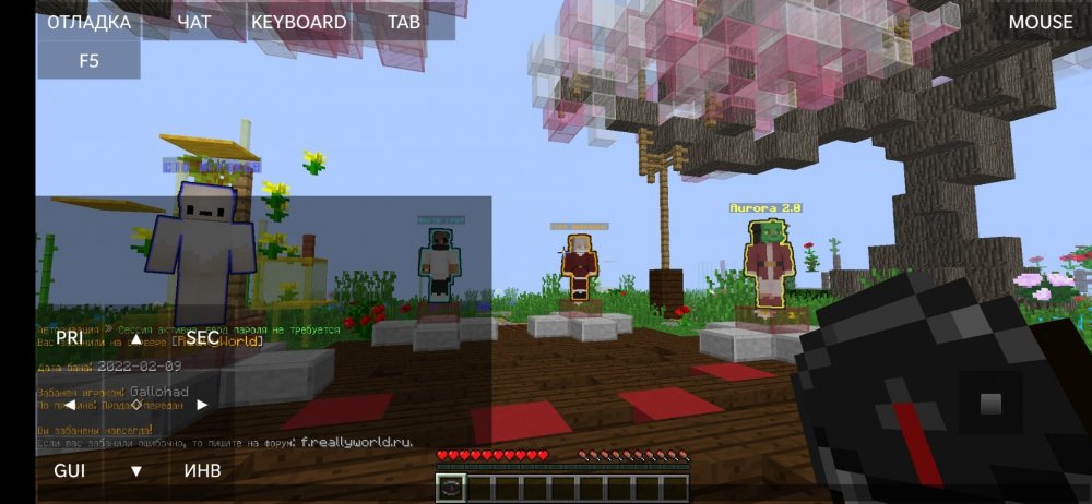 Screenshot_2022-05-12-13-14-48-939_net.kdt.pojavlaunch.jpg