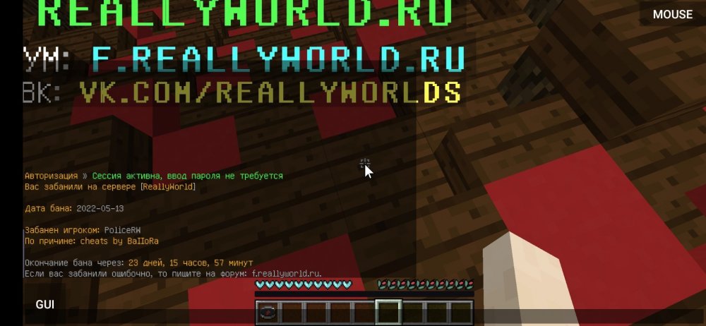 Screenshot_2022-05-13-19-50-05-543_net.kdt.pojavlaunch.jpg