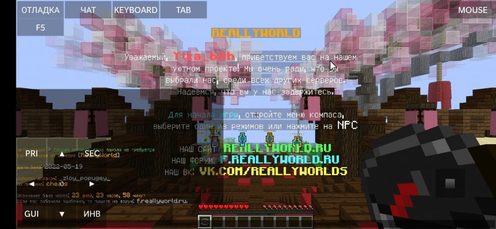 Screenshot_2022-05-19-17-38-24-301_net.kdt.pojavlaunch.jpg