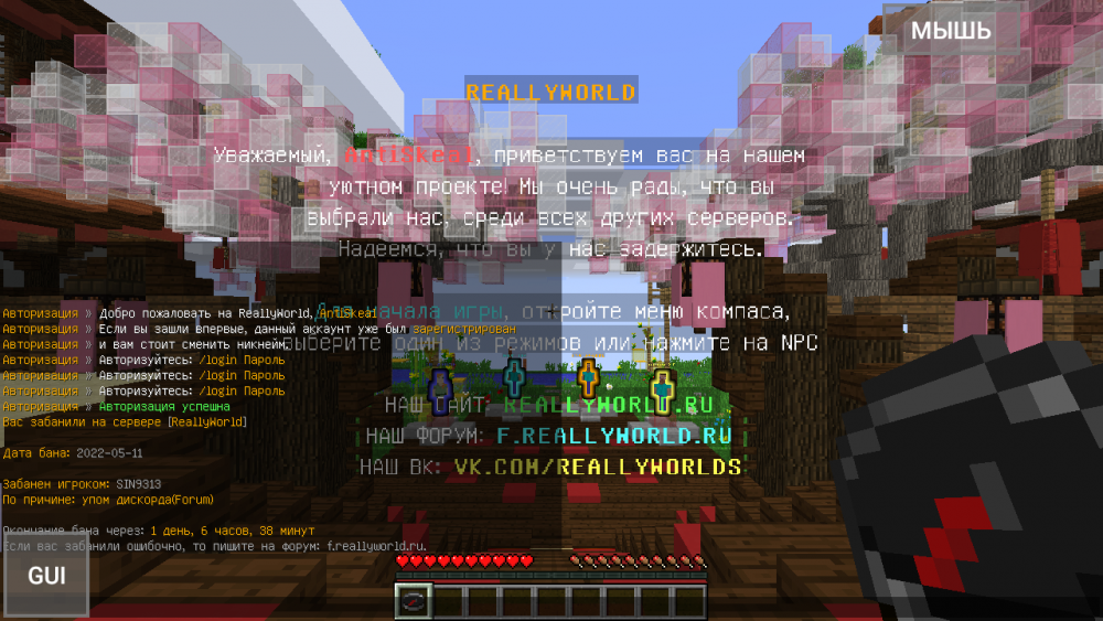 Screenshot_20220512-123635.png