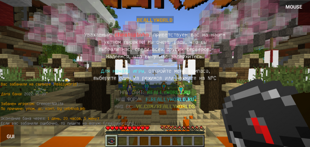Screenshot_20220531-052040.thumb.png.cdf298d1acd95e61043b06ec39a55348.png