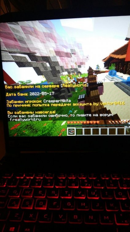 image.thumb.jpeg.723ef401fc0a273a07c485c255c909ae.jpeg