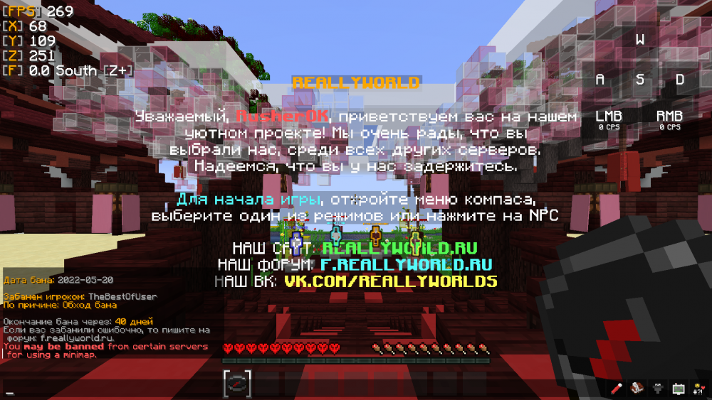 image.thumb.png.3cdb3e1f098076e70d1bc9d96714d990.png