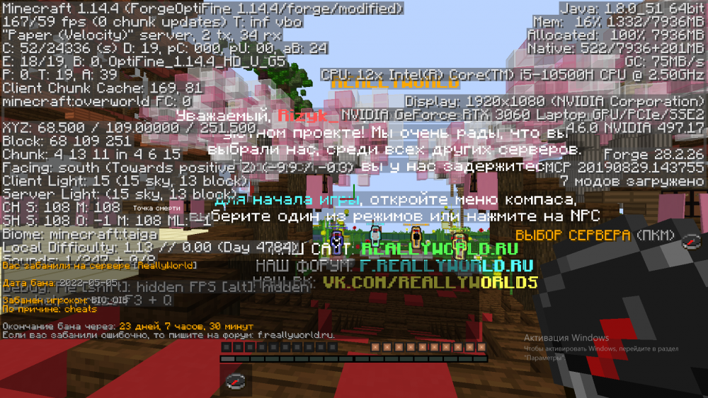 image.thumb.png.d203712efce7aae9927707f3daa43de5.png