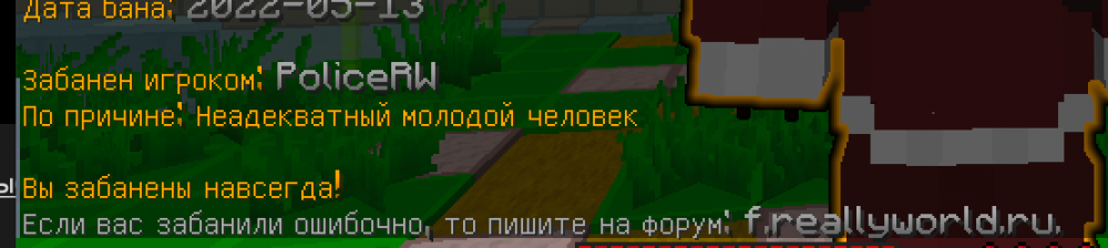 image.thumb.png.d7bbd6da297fa96fed756d251301206e.png