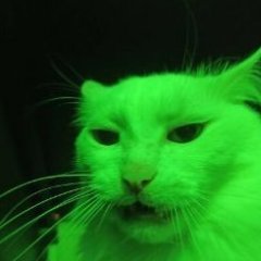 demonad_box