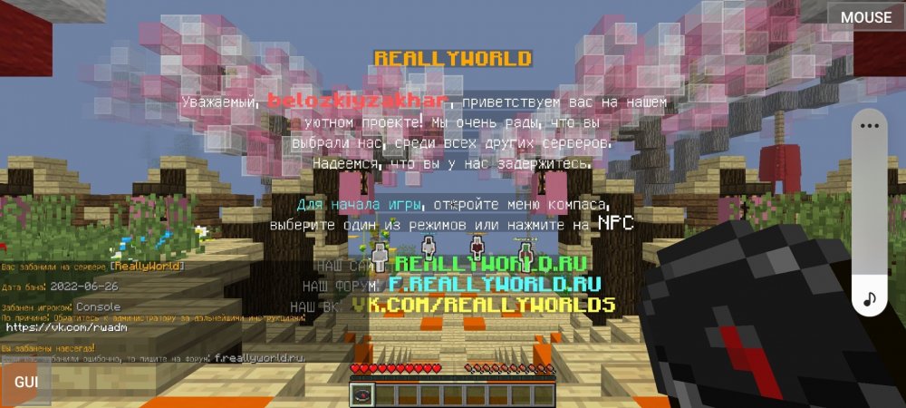 Screenshot_20220627-115811_PojavLauncher (Minecraft Java Edition for Android).jpg