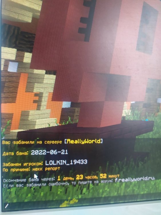 16558124435494973407059071002013.jpg
