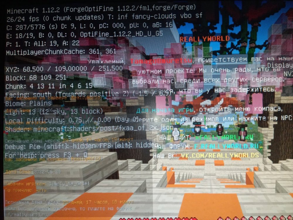 16562633204137167428181345664568.thumb.jpg.b35bab1969a2b78ff78912f7dcccd321.jpg