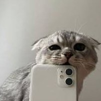 MentlyUwU