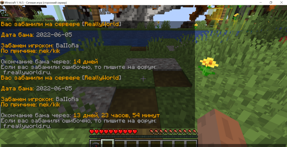 2010493416_Minecraft1_16.5-()05_06.202215_58_04.thumb.png.1d8eabd3c89dc0aced2ef29dde20e1b0.png
