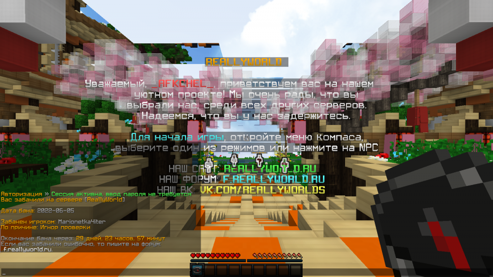 2022-06-05_205137.thumb.png.4f626dfb4b8aec9f0a0a3b63b5d43d44.png