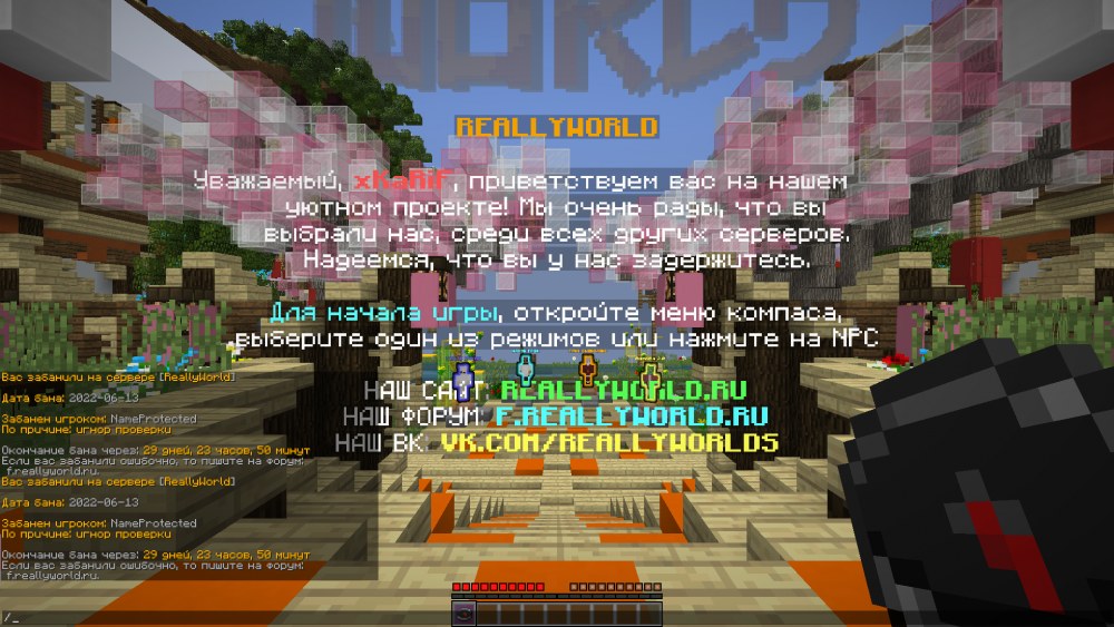 2022-06-13_14.52.44.png