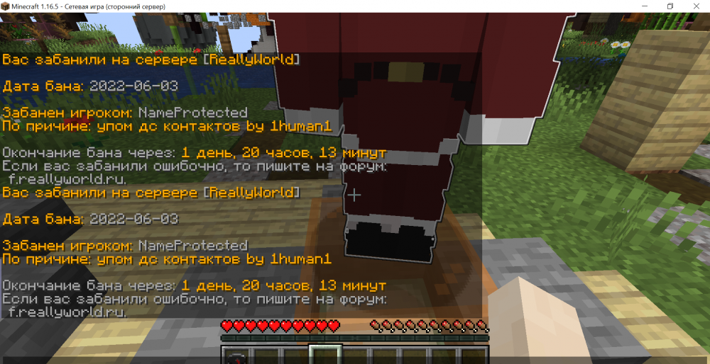 2095918199_Minecraft1_16.5-()03_06.202216_22_18.thumb.png.8a63151f8d0aa9eba85f810e1d433edf.png