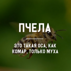 Koshmar4ikYT
