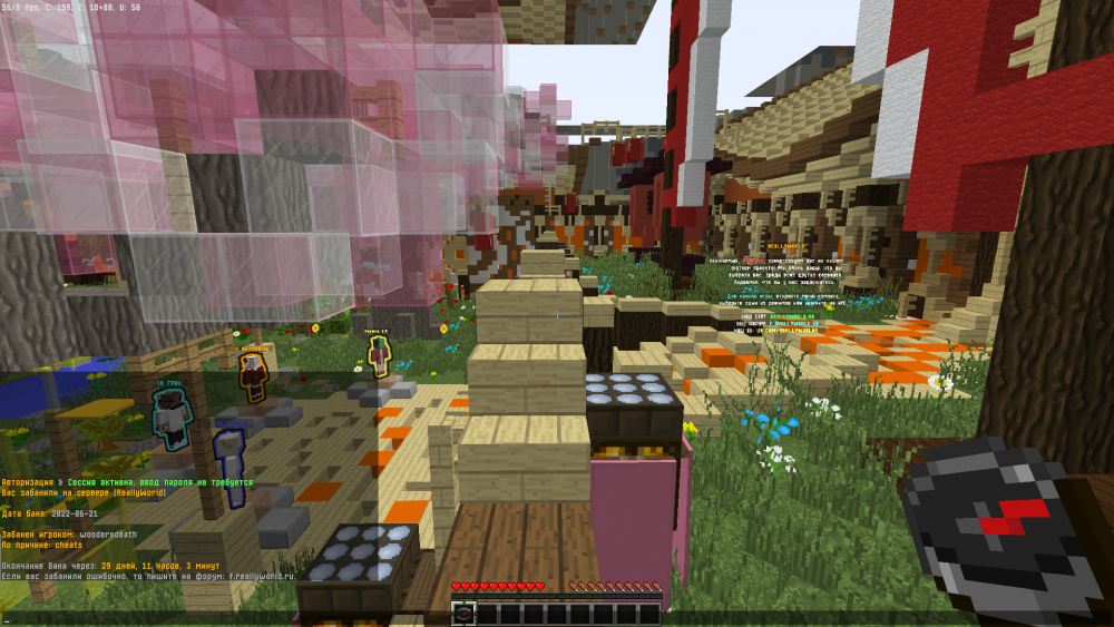 Minecraft 1.12.2 22.06.2022 16_19_49.png