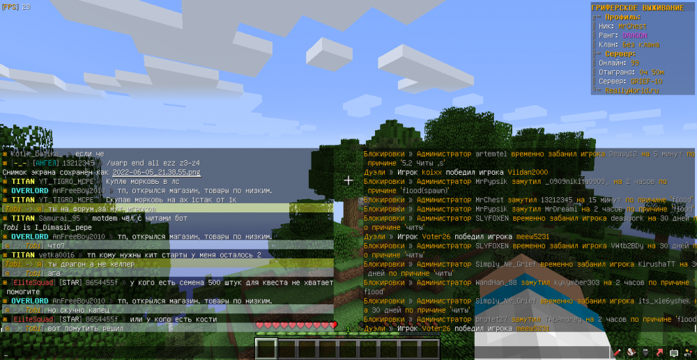 MrChest-AnFreeBoy2010-flood-1654458058286.png