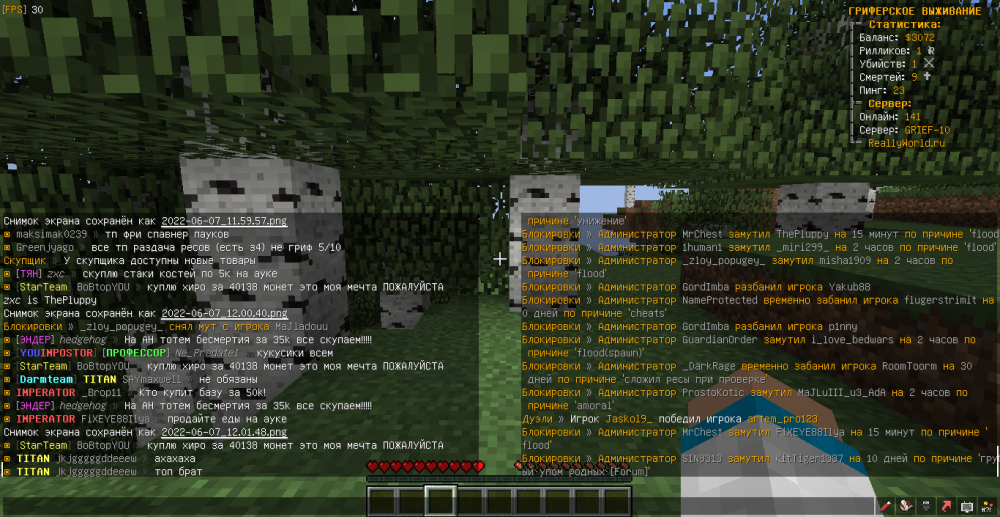 MrChest-BoBtopYOU-flood-1654596147913.png