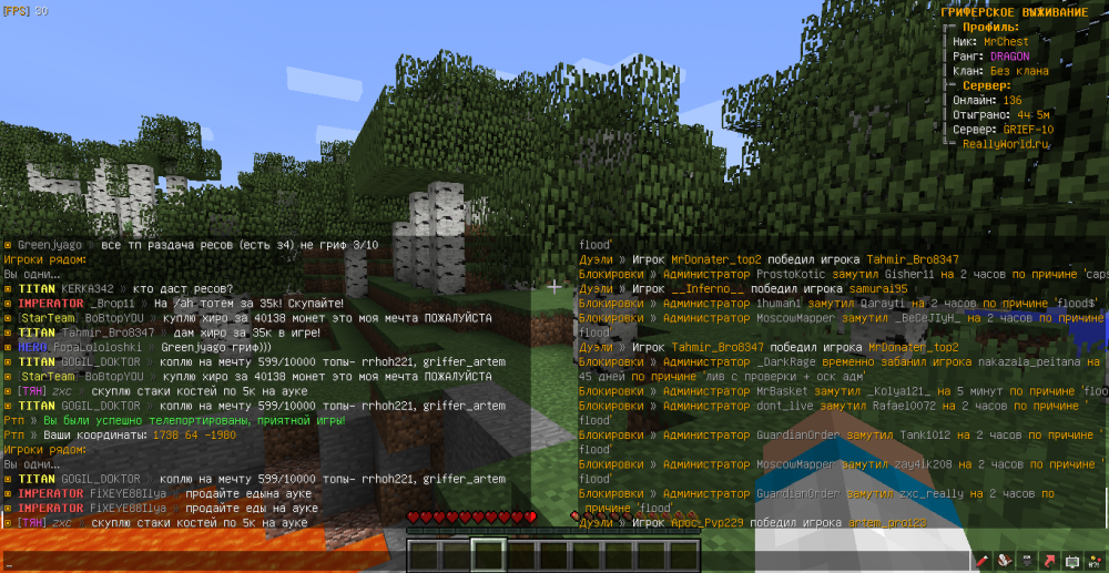 MrChest-GOGIL_DOKTOR-flood-1654596006369.png