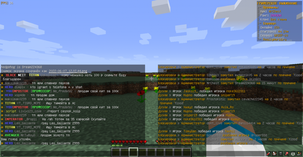 MrChest-Leo_Gallante-flood-1654596302064.png