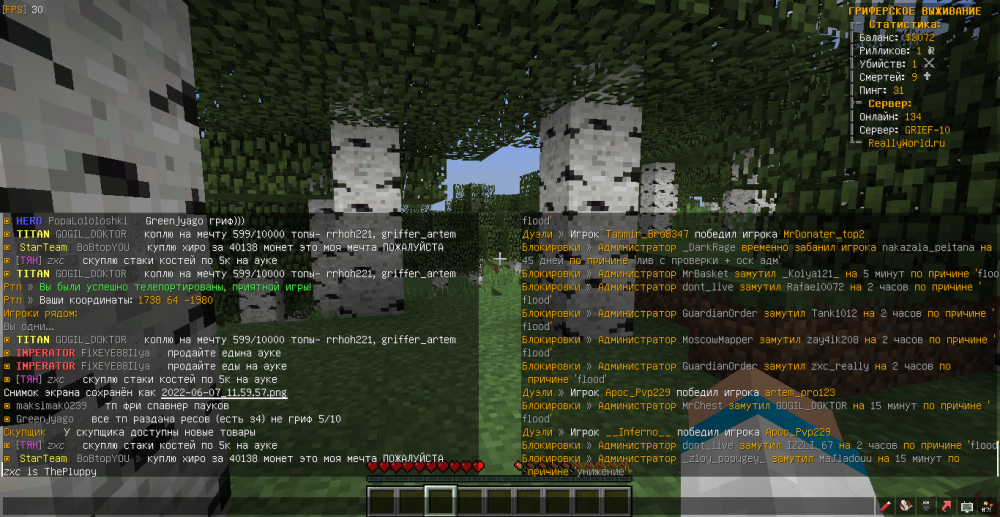 MrChest-ThePluppy-flood-1654596049828.png