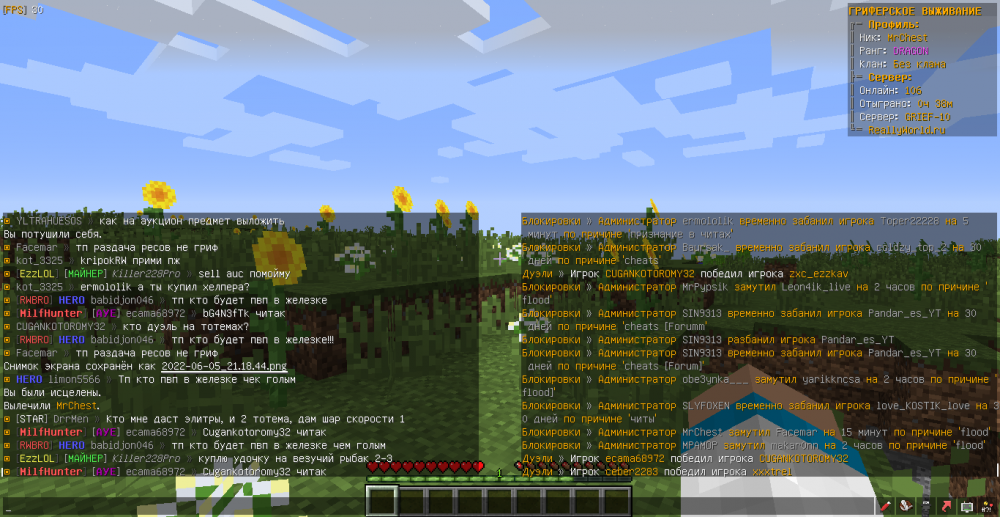 MrChest-babidjon046-flood-1654456791178.png