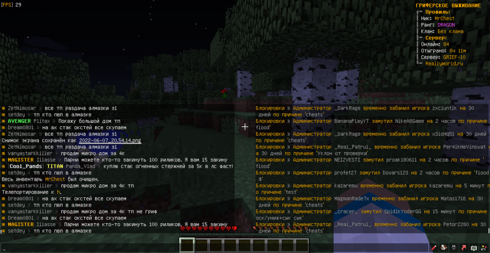 MrChest-setdey-flood-1654628149688.png