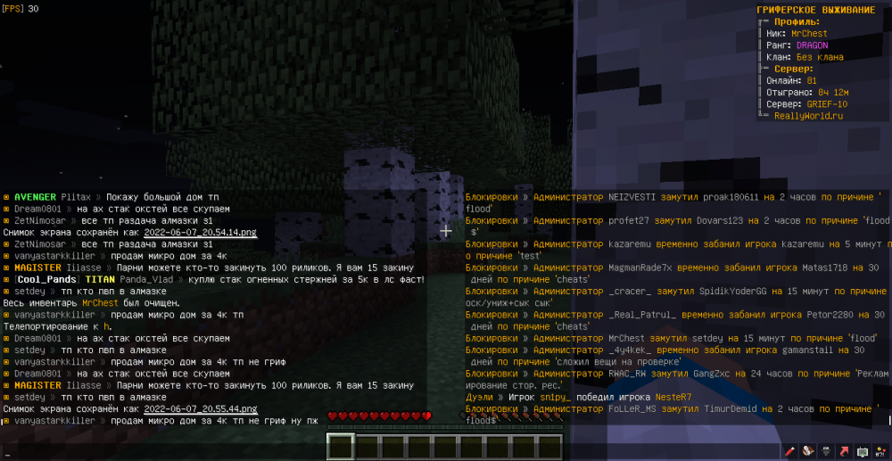 MrChest-vanyastarkkiller-flood-1654628189481.png
