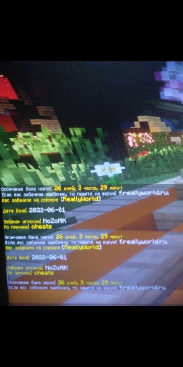 Screenshot_2022-06-05-16-01-58-961_com_miui.gallery.thumb.jpg.dd2a24bdaf5634c4df3589ab8a0a430e.jpg