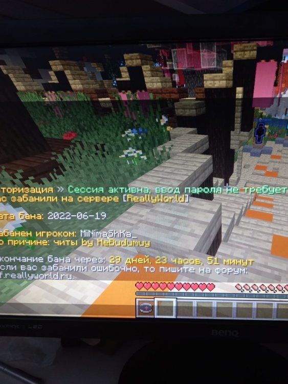 image.thumb.jpeg.32563cace7a3d246cdf5380c0c1b7f71.jpeg