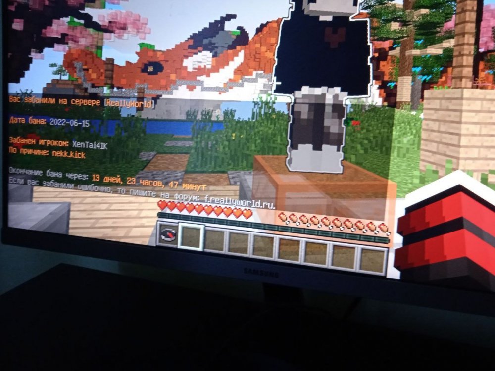image.thumb.jpeg.fa446a08c7d39083c29a2566b30f58cf.jpeg