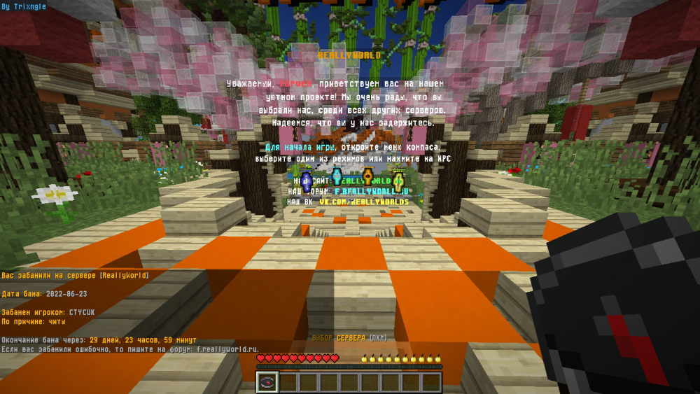 image.thumb.png.35ef0bb194f7bd96589adb4d0fe1141c.png