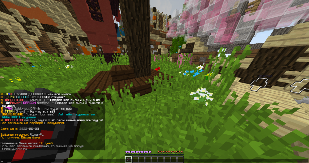 image.thumb.png.63ee1de100152ced89e54394e5b8632f.png