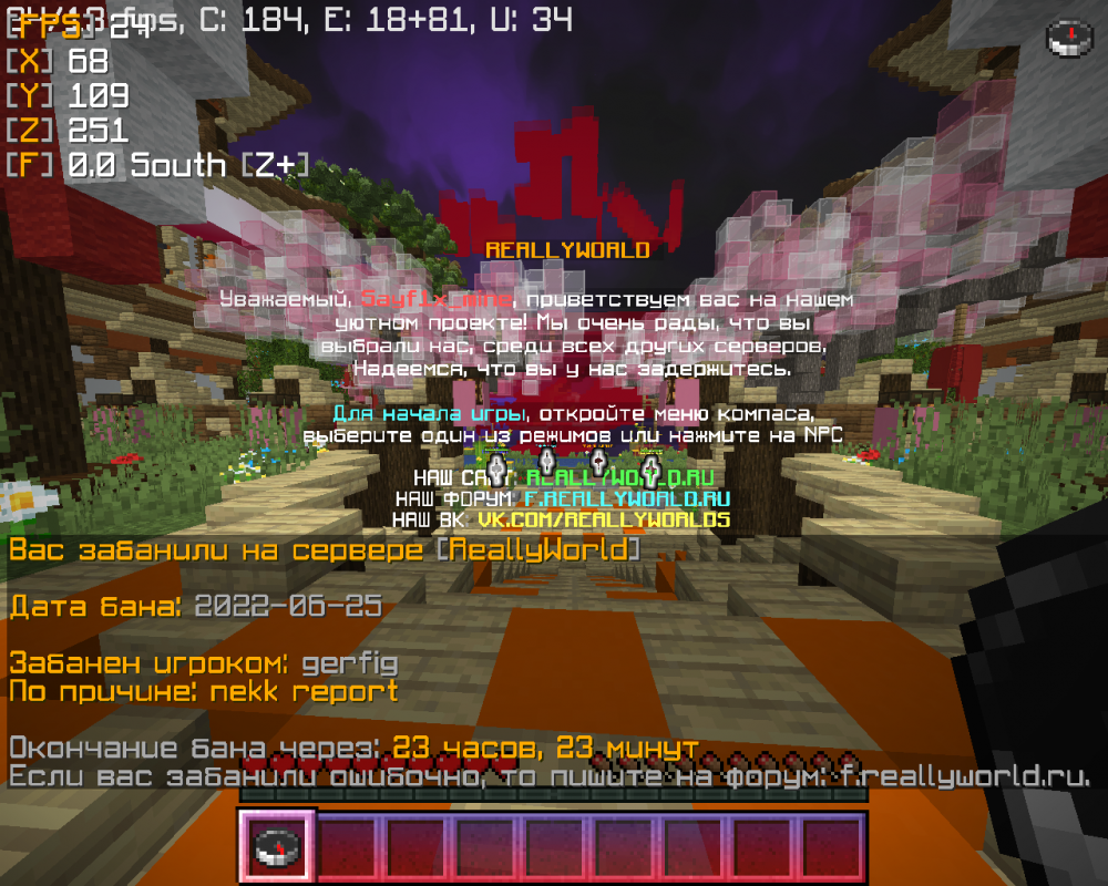 image.thumb.png.f3317be2447b579769235e1bd0f2cf2e.png