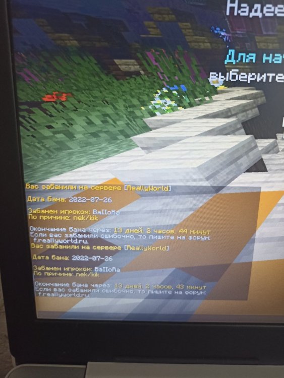 16589053646551477666694705543243.thumb.jpg.361f0aec7d535e344fe4f4a1ff335a12.jpg