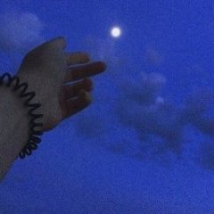 ホリネズミ