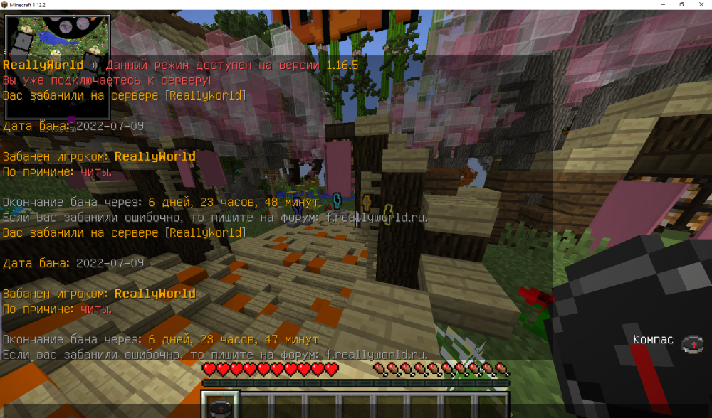 Minecraft 1.12.2 09.07.2022 23_42_09.png