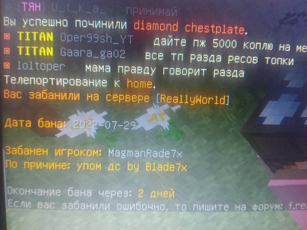 IMG20220729174016.jpg